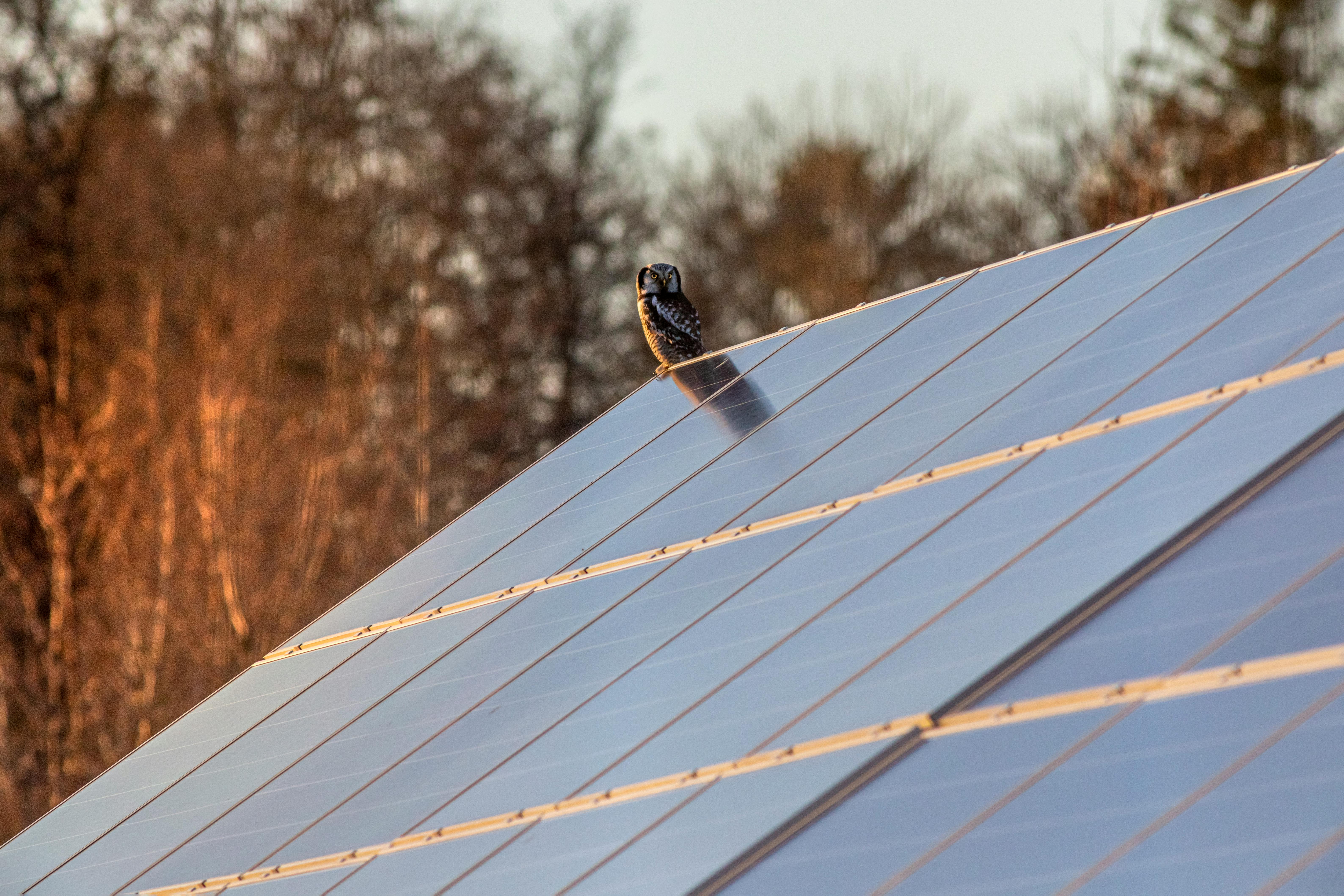 Photovoltaïque